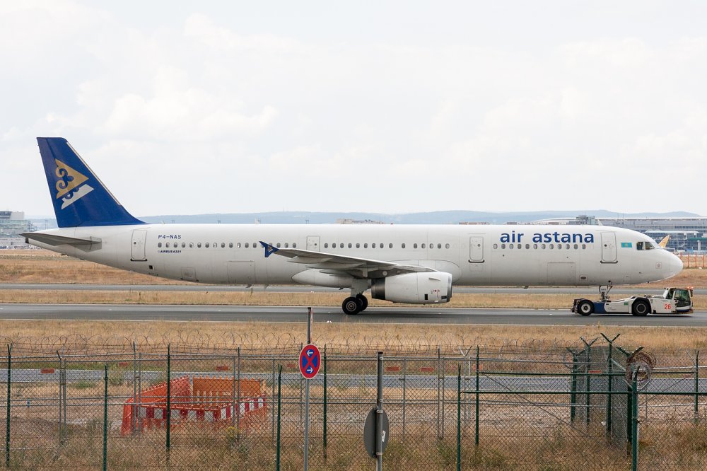 P4-NAS